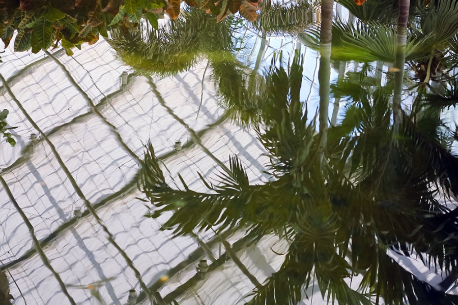 811reflection